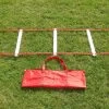Sidelines Adjustable Speed Training Ladder